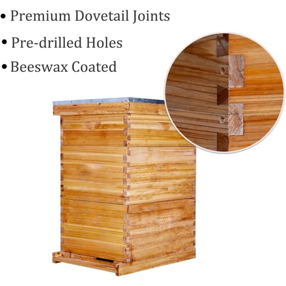 10 Frame Langstroth Bee Hive