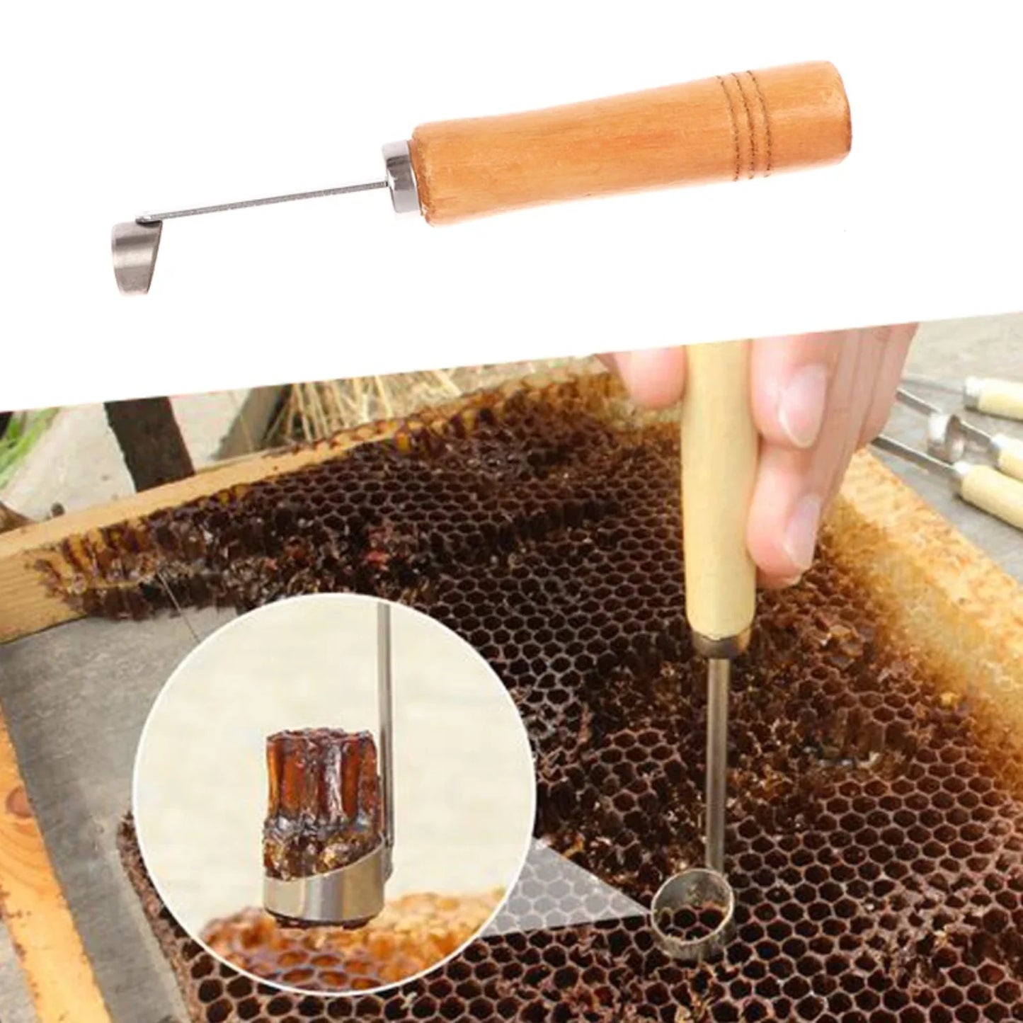 1Pc Beekeeping Cleaning Device