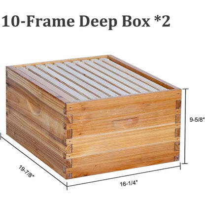 10 Frame Langstroth Bee Hive