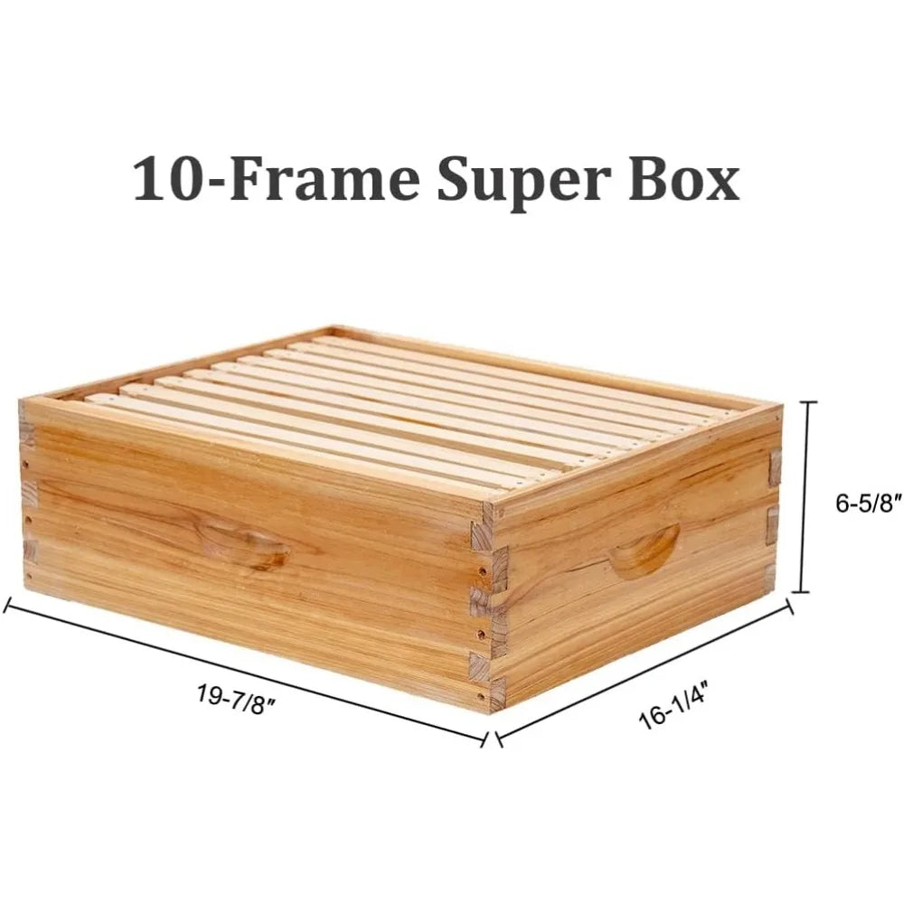 10 Frame Langstroth Bee Hive