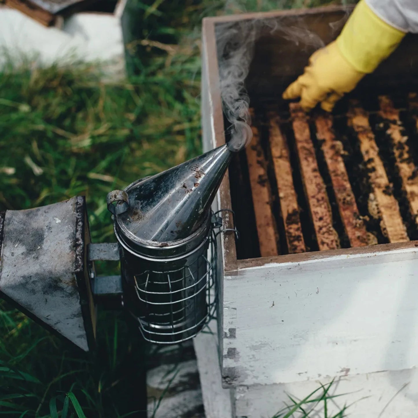 Stainless Steel Bee Smoker