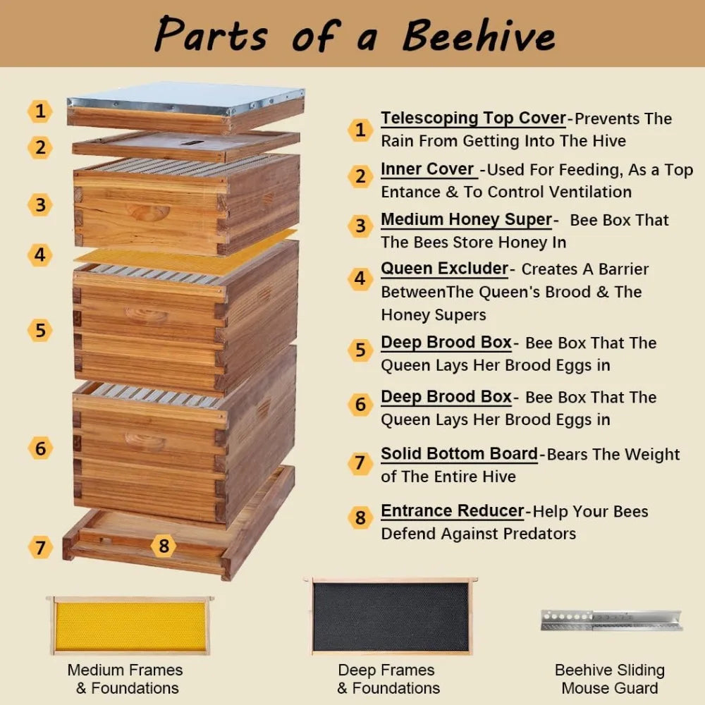 10 Frame Langstroth Bee Hive