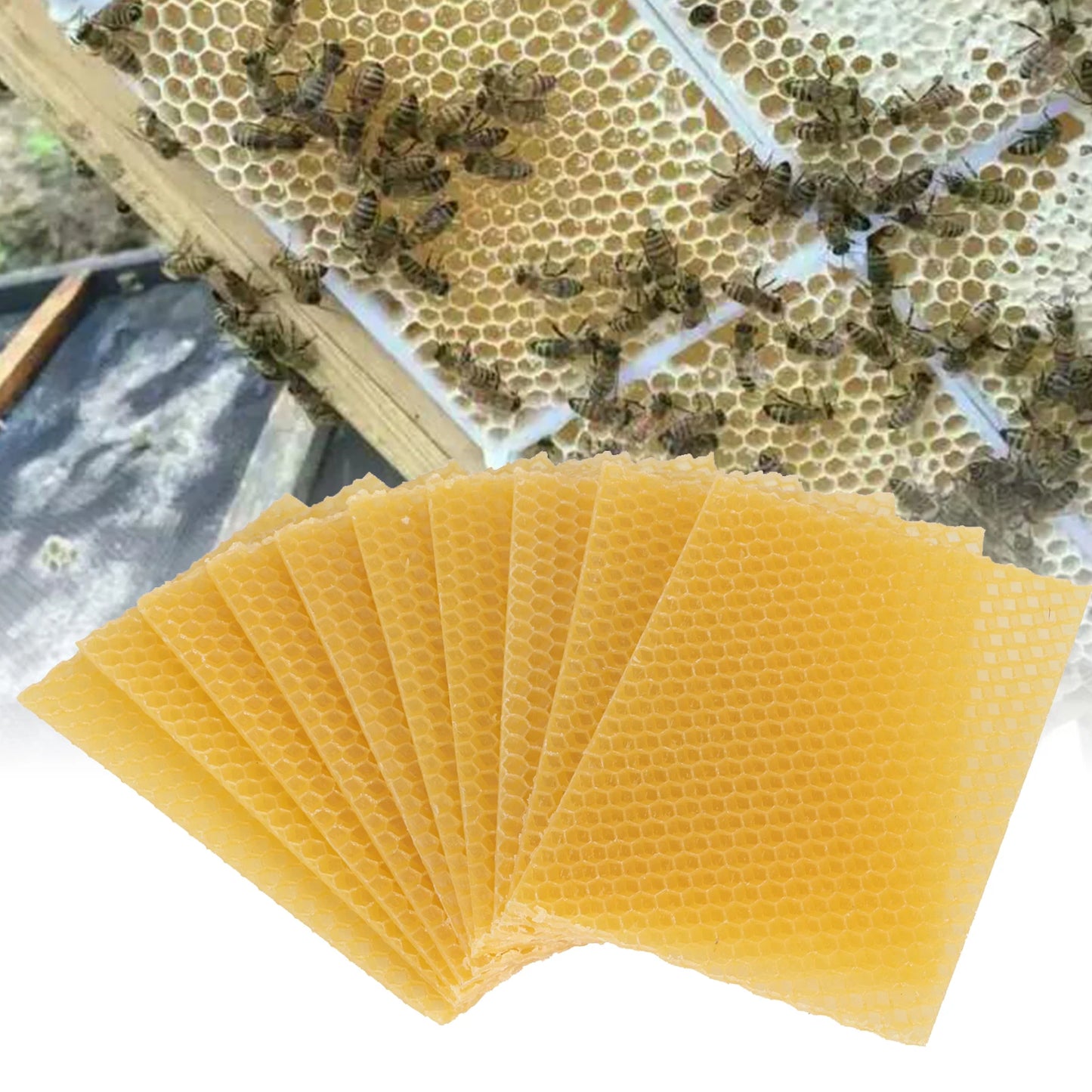 Beekeeping Beeswax  Frames