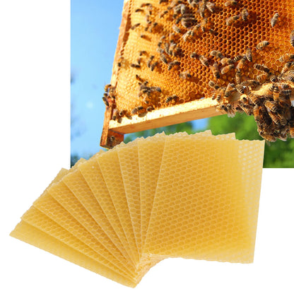 Beekeeping Beeswax  Frames