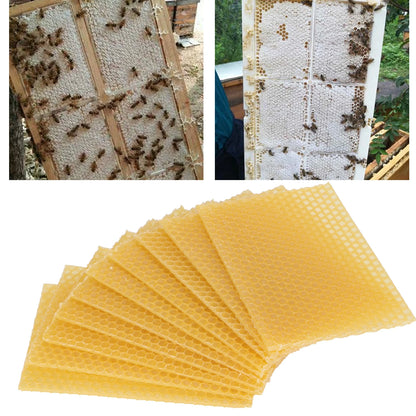 Beekeeping Beeswax  Frames